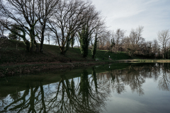 14 Février 2024, Ternay (Rhône)L’étang de Ternay, situé au sud de Lyon, a également été fortement contaminé aux PFAS. Le collectif citoyen « Ozon l’eau saine » a relevé un taux de 210 ng/l, bien au-dessus de la norme autorisée pour l’eau potable en France (100 ng/l). 14 Février 2024, Ternay (Rhône)L’étang de Ternay, situé au sud de Lyon, a également été fortement contaminé aux PFAS. Le collectif citoyen « Ozon l’eau saine » a relevé un taux de 210 ng/l, bien au-dessus de la norme autorisée pour l’eau potable en France (100 ng/l).
